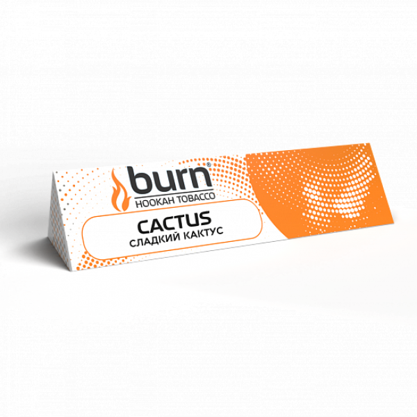Табак BURN CACTUS 25 грамм в Уфе