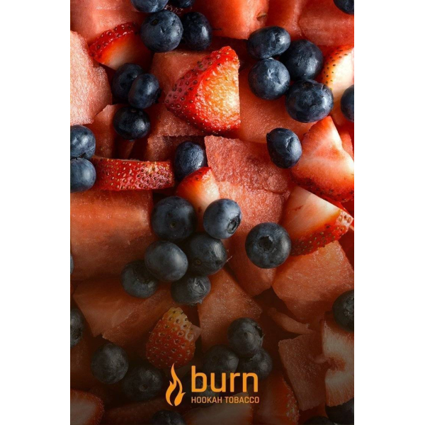 Табак Burn Berried Treasure 100 грамм в Уфе