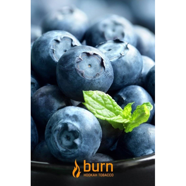 Табак Burn Blueberry Mint 100 грамм в Уфе