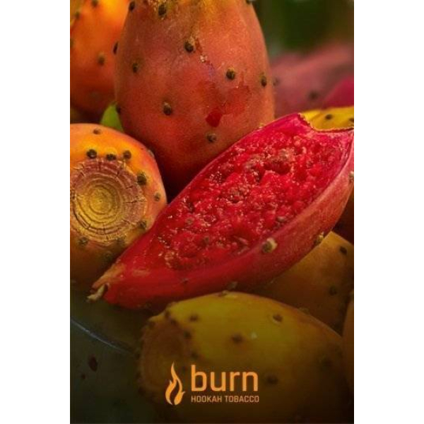 Табак Burn Cactus 100 грамм в Уфе