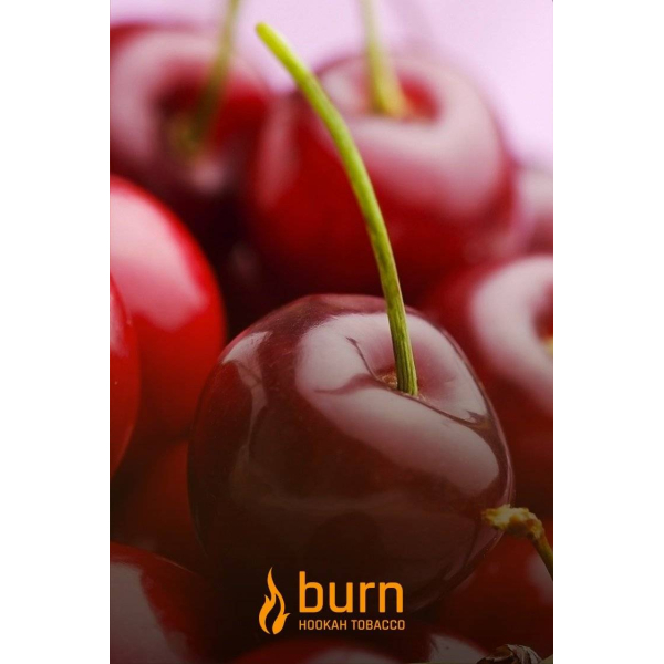 Табак Burn Candy Cherry 100 грамм в Уфе