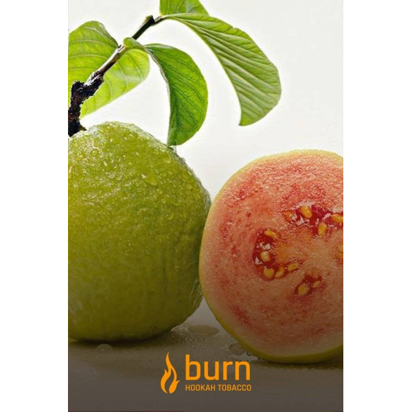 Табак Burn Guava 100 грамм в Уфе