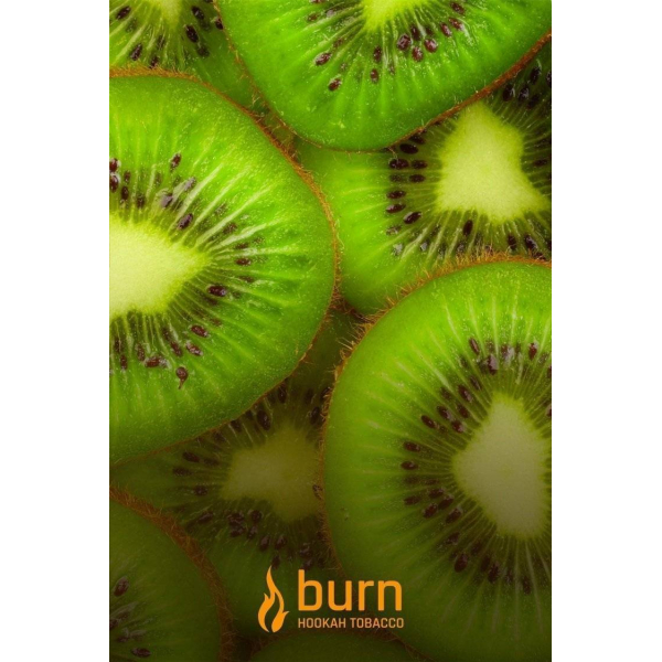 Табак Burn Kiwi 100 грамм в Уфе