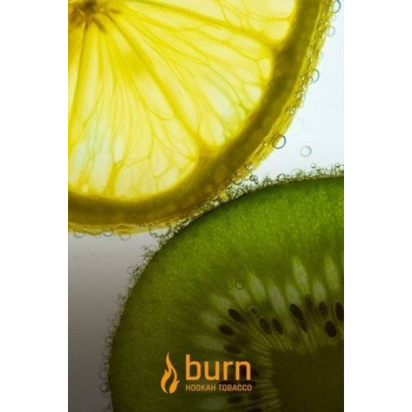Табак Burn Kiwi Lemon 100 грамм в Уфе