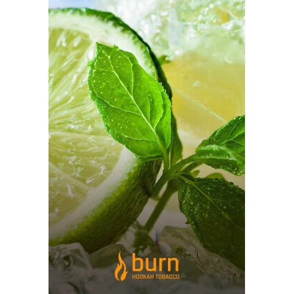 Табак Burn Lemon Mint 100 грамм в Уфе