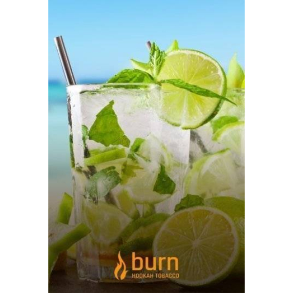 Табак Burn Mojito 100 грамм в Уфе
