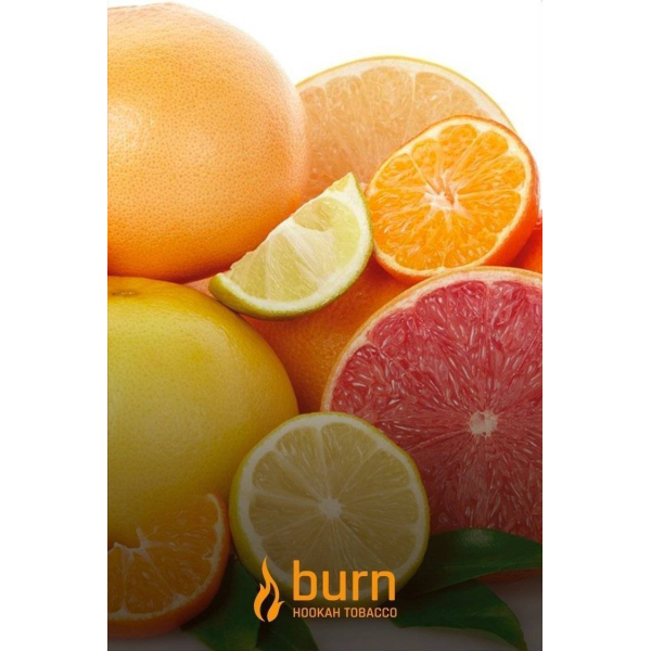 Табак Burn SundaySun 100 грамм в Уфе
