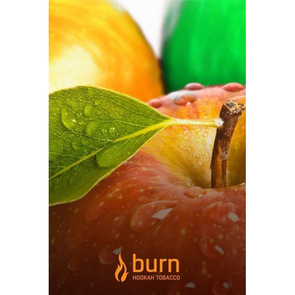 Табак Burn Three Apples 100 грамм в Уфе