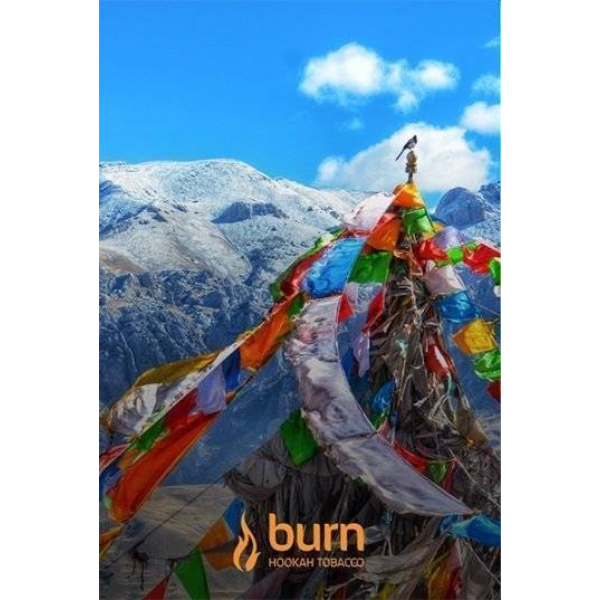 Табак Burn Tibet 100 грамм в Уфе