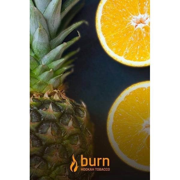 Табак Burn White Night 100 грамм в Уфе