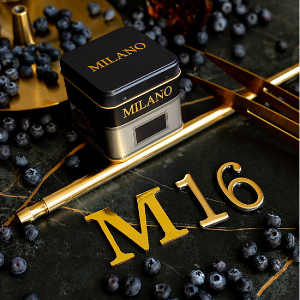 Табак MILANO GOLD М16 BILBERRY 100 гр в Уфе
