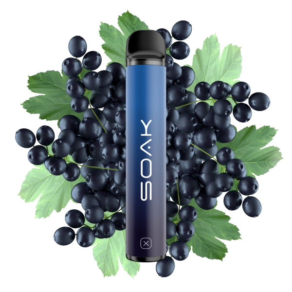 SOAK X Forest Blackcurrant (Лесная черная смородина), 1500 тяг в Уфе