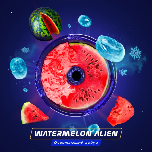 Паста Space Smoke BASIC Watermelon  Alien (Арбуз с  холодком) 30 гр в Уфе
