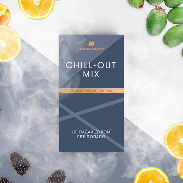 Табак Шпаковского Chill Out (Ежевика Фейхоа Цитрусы) 40 грамм в Уфе