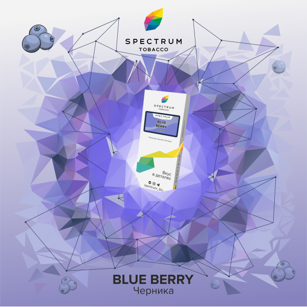 Табак Spectrum Classic Blue Berry 100 грамм в Уфе