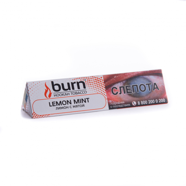 Табак Burn Lemon Mint  25 грамм в Уфе